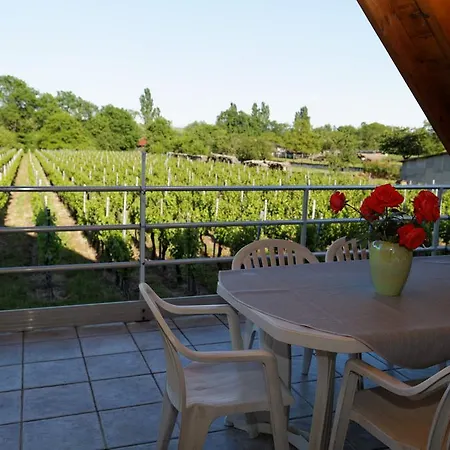 Roland Geyer Holiday home